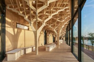 Timber Pavilion Design2