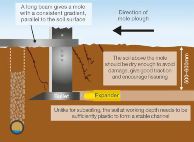 Mole Drain